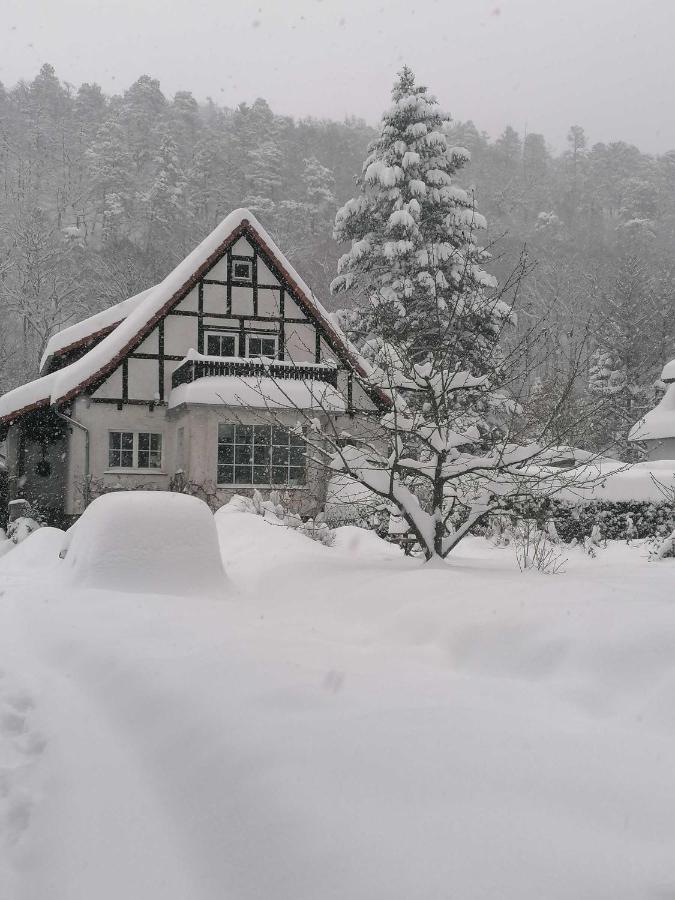 Ferienwohnung Natur Pur Muehlental Wernigerode Exteriör bild