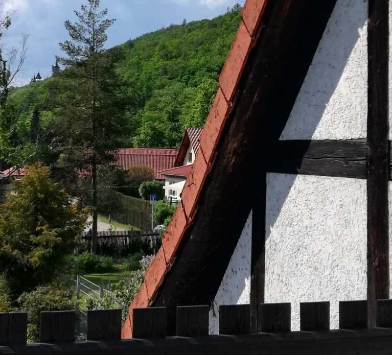 Ferienwohnung Natur Pur Muehlental Wernigerode Exteriör bild