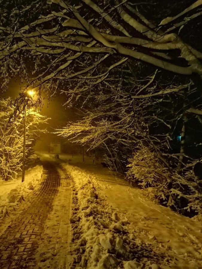 Ferienwohnung Natur Pur Muehlental Wernigerode Exteriör bild