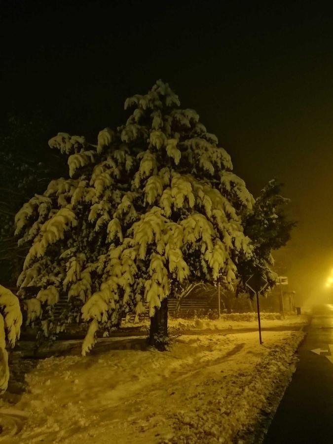 Ferienwohnung Natur Pur Muehlental Wernigerode Exteriör bild